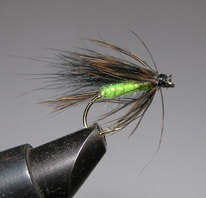 ���� ������ Wet fly 